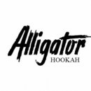  Alligator Shisha - das ist Edelstahl... Logo