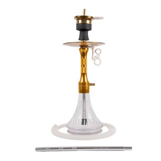 AMY Deluxe Shisha Alu Cage S - Gold Clear kaufen