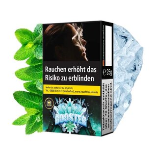 Holster Tobacco 25g - Booster kaufen