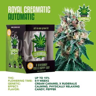 iGrowCan Automatic - Anzuchtset - Royal Creamatic kaufen