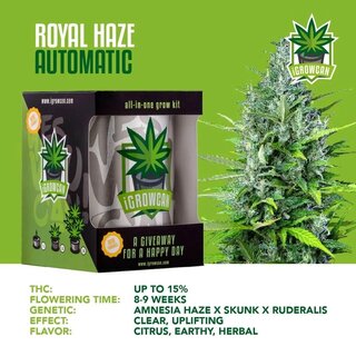 iGrowCan Automatic - Anzuchtset - Royal Haze kaufen